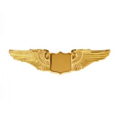 GREAT WINGS PIN MEDIUM TACKETTE GOLD AV-WNG2-THG