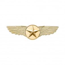 WINGS PIN LARGE GOLD STAR EMBLEM (6.4CM)