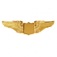 WINGS PIN SMALL TACKETTE GOLD (3.8CM)