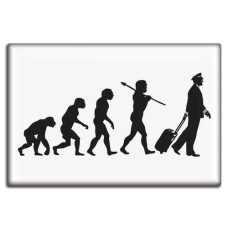 FRIDGE MAGNET - EVOLUTION OF THE PILOT NLUS632-EVO