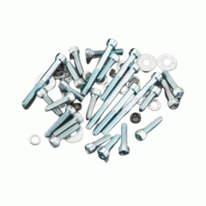 DLE 55RA SCREWS OUTFIT 55N34