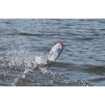 LANCHA MINI RIO OFF SHORE EP RTR AQUB15