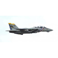 AVIAO FW F-14 PNP TOMCAT TWIN 80MM EDF JET FJ30812P