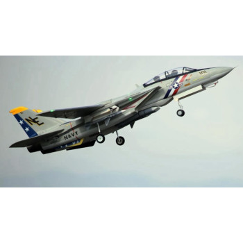 AVIAO FW F-14 PNP TOMCAT TWIN 80MM EDF JET FJ30812P