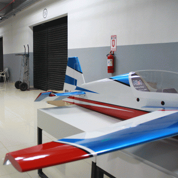 AVIAO PILOT RC EXTRA NG 103