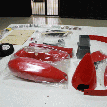 AVIAO PILOT RC EXTRA NG 103