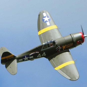 AVIAO SEAGULL P-47B WICKED WABBIT GIAN 81