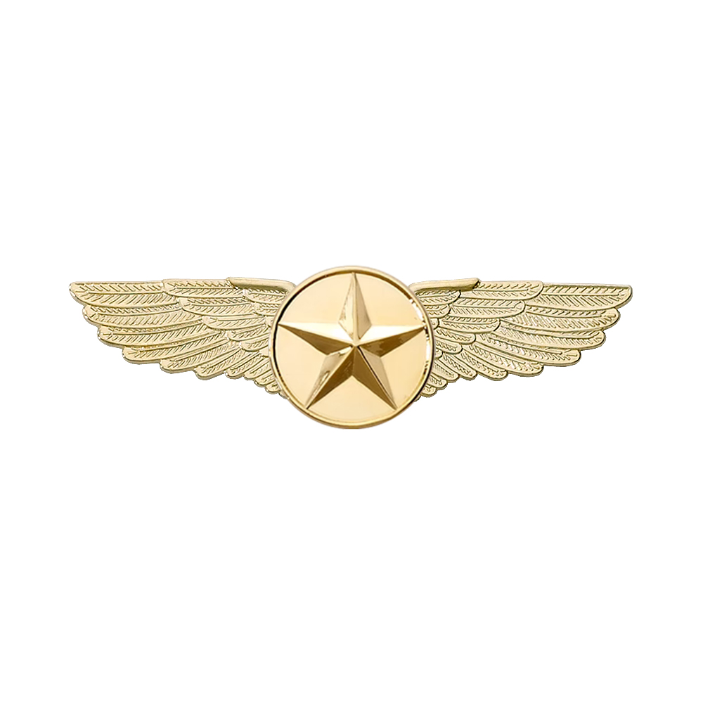 WINGS PILOT LARGE GOLD STAR EMBLEM (6.4CM)