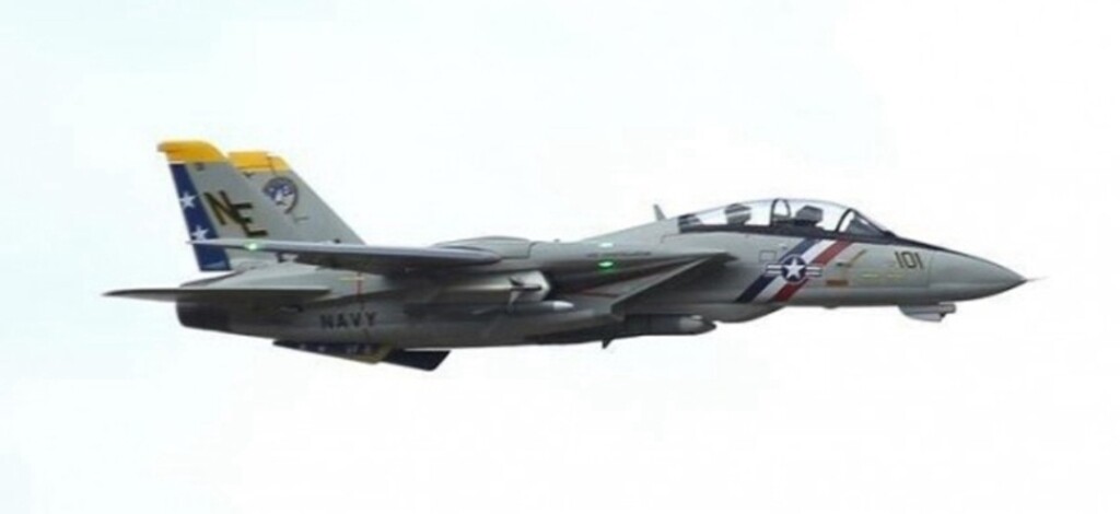 AVIAO FW F-14 PNP TOMCAT TWIN 80MM EDF JET FJ30812P