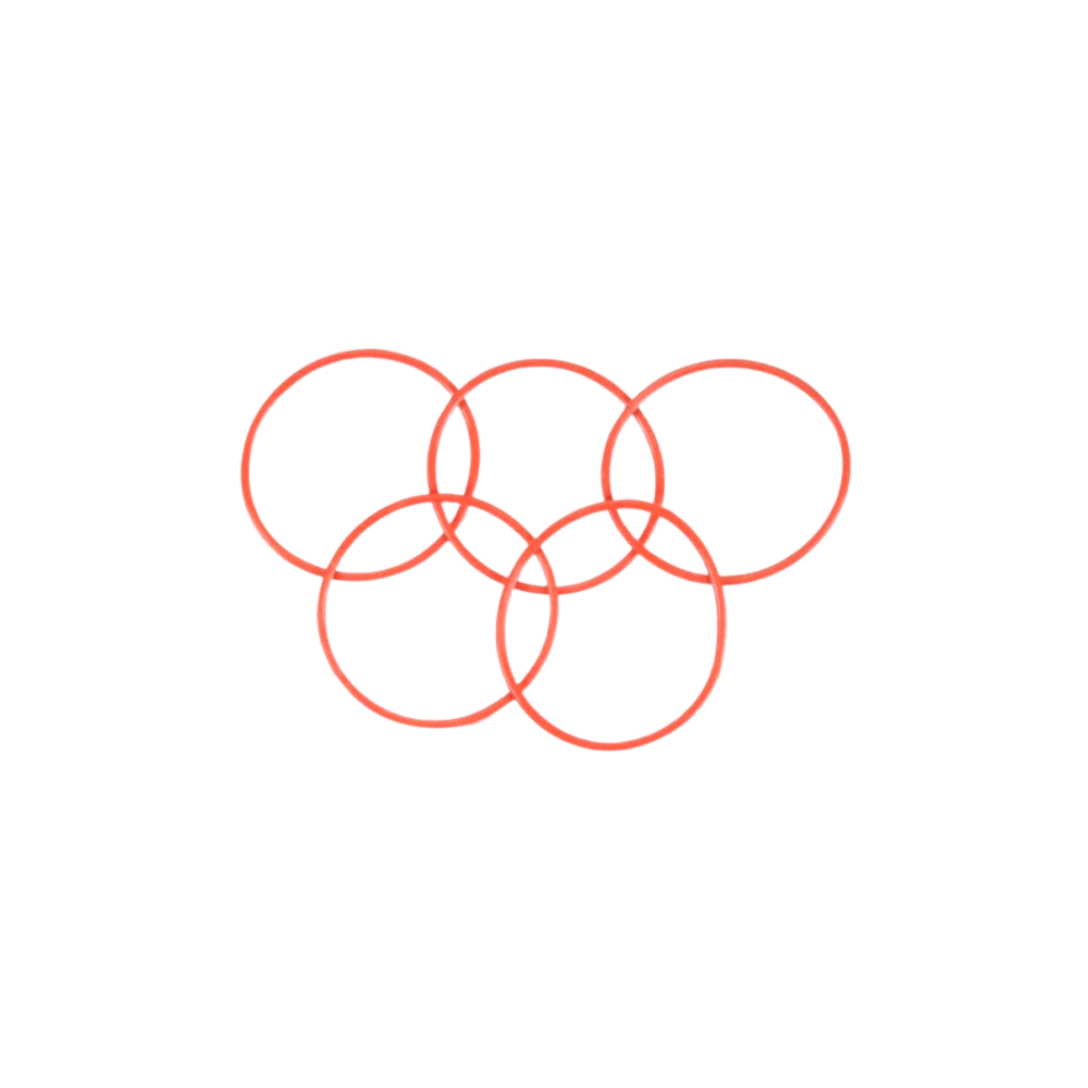 DTXC4215 DIFF O-RING LARGE RAZE 5PC