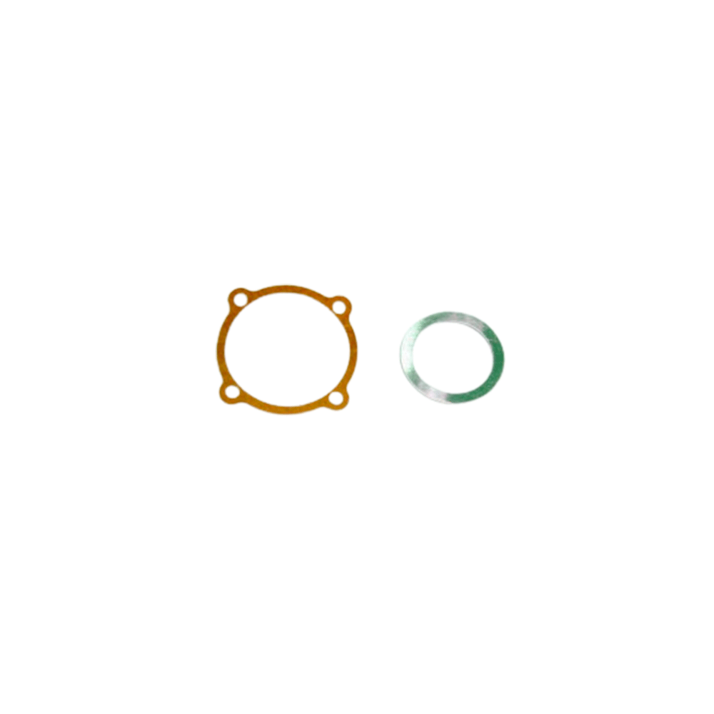 GASKET SET PRO-61 T.TIGER PN0004